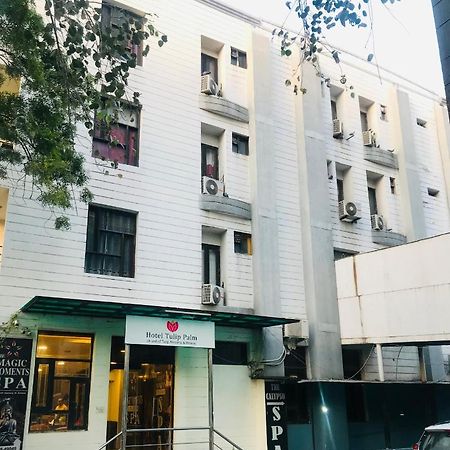 Tulip Palm Ξενοδοχείο Τζαϊπούρ Εξωτερικό φωτογραφία